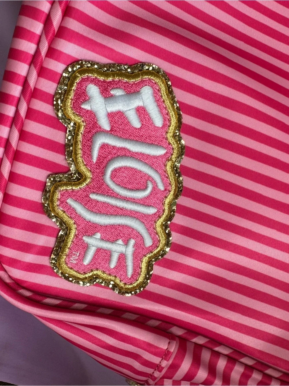 Stoney Clover Lane Pink Striped Cosmetic Case Eloise at the plaza
